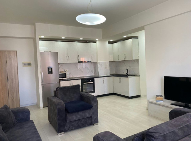 pallati-me-shigjeta-jepet-me-qera-21-big-0