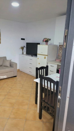 ali-demi-jepet-me-qera-sgarsoniere-big-4