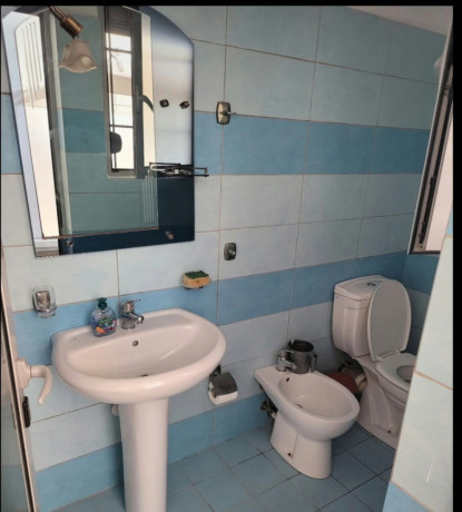 ali-demi-jepet-me-qera-sgarsoniere-big-3