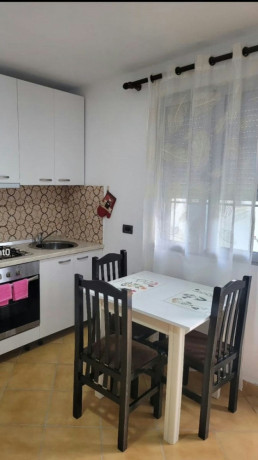 ali-demi-jepet-me-qera-sgarsoniere-big-1