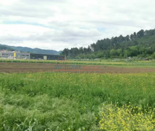 toke-ne-shitje-ne-fshatin-prush-tirane-big-0