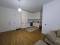 apartament-11-me-qira-te-liqeni-i-thate-tirane-small-1