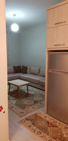 ish-parku-i-autobusave-jepet-me-qera-11-big-4