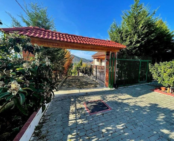 shitet-vile-2-kt-papafingo-zona-peze-e-vogel-big-4