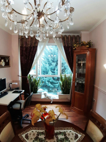 jepet-me-qira-apartament-21-garazh-zona-kopshti-zoologjik-big-3