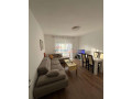 apartament-21-ne-shitje-brryli-ne-tirane-small-3