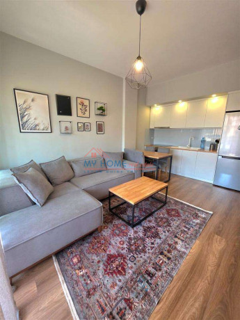 apartament-11-me-qira-te-liqeni-i-thate-tirane-big-3