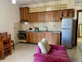 apartament-11-me-qira-tek-pallati-me-shigjeta-small-4