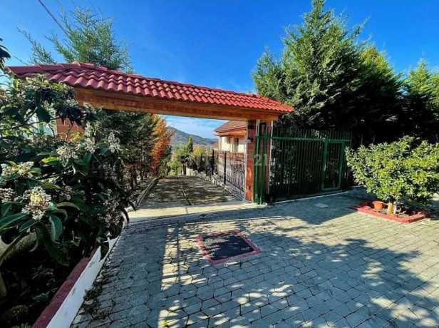 shitet-vile-2-kt-papafingo-zona-peze-e-vogel-big-3