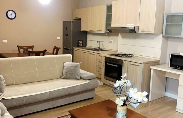 jepet-me-qira-apartament-11-garazh-zona-kopshti-zologjik-big-3