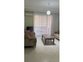 apartament-11-me-qera-komuna-e-parisit-small-2