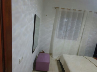 Selite jepet me qera 1+1