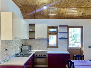 Ish Fusha e Aviacionit jepet me qera 2+1