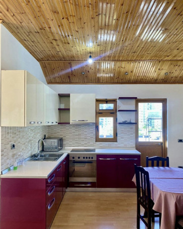 ish-fusha-e-aviacionit-jepet-me-qera-21-big-0