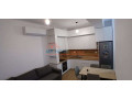 apartament-11-me-qira-ali-demi-tirane-small-1