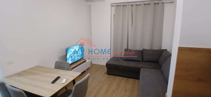 apartament-11-me-qira-ali-demi-tirane-big-0
