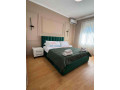 apartament-21-me-qera-qender-tirane-small-0