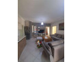 apartament-21-me-qera-fresk-ne-tirane-small-0