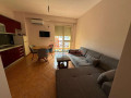 apartament-11-me-qera-pas-kompleksit-delijorgjit-ne-tirane-small-1