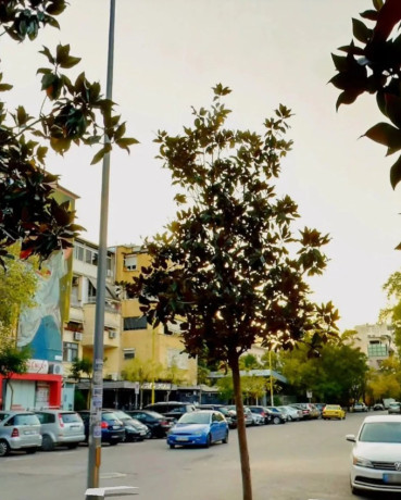 shitet-dyqan-njesi-stadiumi-dinamo-big-0