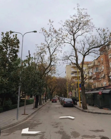 shitet-dyqan-njesi-stadiumi-dinamo-big-1