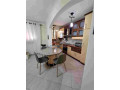 apartament-21-me-qira-ali-demi-tirane-small-3