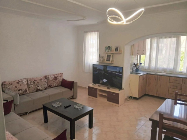 jepet-me-qira-apartament-1-1-ali-demi-big-2