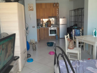 Ali Demi shitet garsoniere