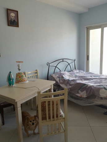 ali-demi-shitet-garsoniere-big-2