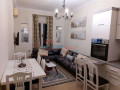 apartament-21-me-qera-tek-shallvaret-ne-tirane-small-4