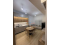apartament-11-me-qera-ali-demi-tirane-small-0