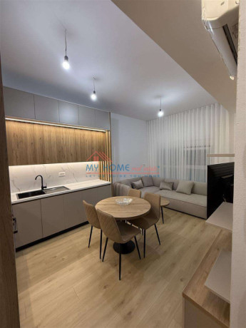 apartament-11-me-qera-ali-demi-tirane-big-0
