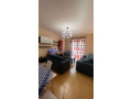 apartament-21-me-qera-tek-rruga-e-elbasanit-ne-tirane-small-2