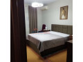 apartament-21-me-qera-mine-peza-ne-tirane-small-0