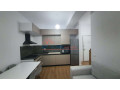 apartament-11-me-qira-ali-demi-tirane-small-1