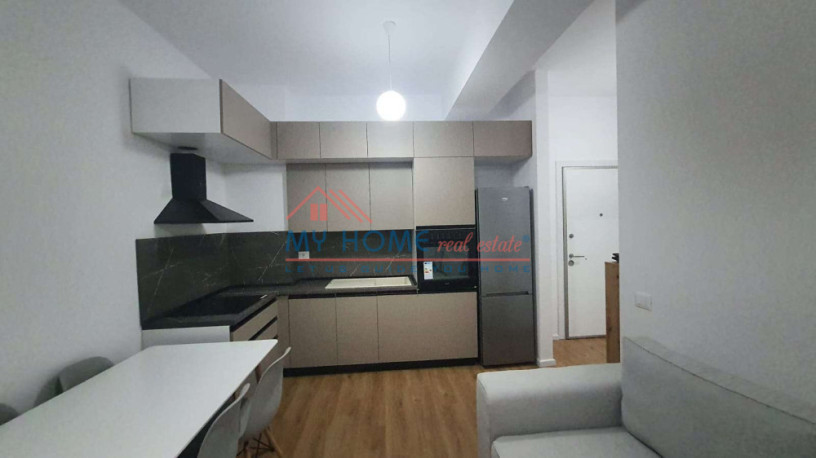apartament-11-me-qira-ali-demi-tirane-big-1