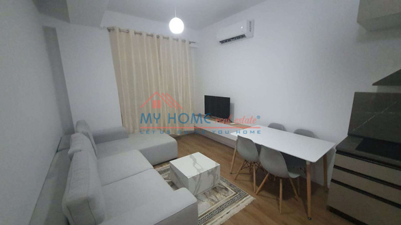 apartament-11-me-qira-ali-demi-tirane-big-2