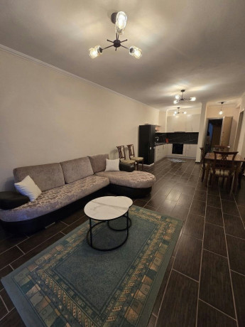 shtepi-me-qera-pallat-i-ri-21-yzberisht-misto-mame-big-4