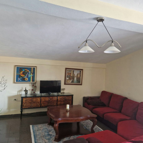 shtepi-me-qera-vile-21-vile-4-kateshe-rr-bardhyl-siri-kodra-riza-cerova-big-4