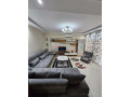 apartament-21-me-qira-liqeni-i-thate-ne-tirane-small-1
