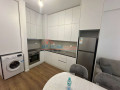 apartament-11-me-qira-ali-demi-tirane-small-1