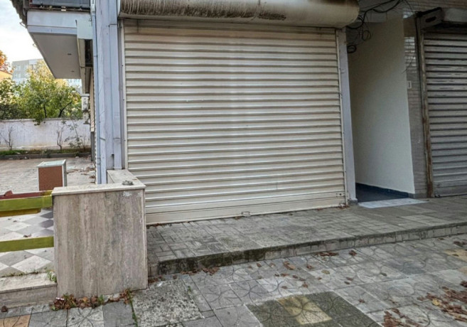 magazine-me-qera-pallat-i-ri-ali-demi-tregu-elektrik-big-1