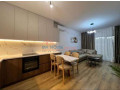 apartament-21-me-qira-te-zogu-i-zi-tirane-small-0