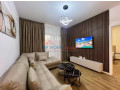 apartament-21-me-qira-te-zogu-i-zi-tirane-small-4