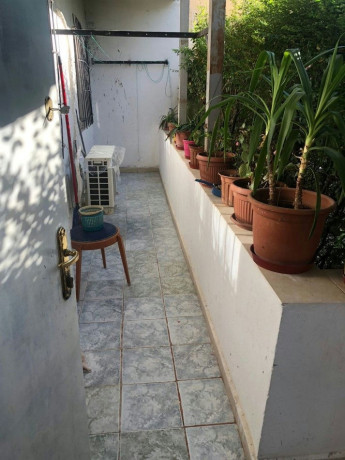 shtepi-me-qera-pallat-egzistues-21-xhamlliku-oxhaku-profarma-big-4