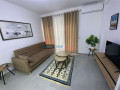 apartament-11-me-qira-te-rruga-e-durresit-ne-tirane-small-0