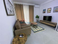 apartament-11-me-qira-te-rruga-e-durresit-ne-tirane-small-4