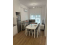 apartament-11-me-qira-ali-demi-tirane-small-0