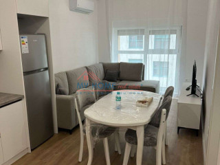 Apartament 1+1 me Qira Ali Demi Tirane