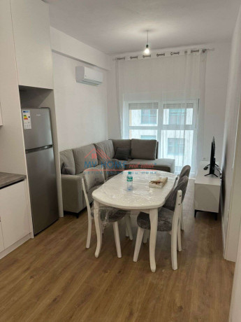 apartament-11-me-qira-ali-demi-tirane-big-0